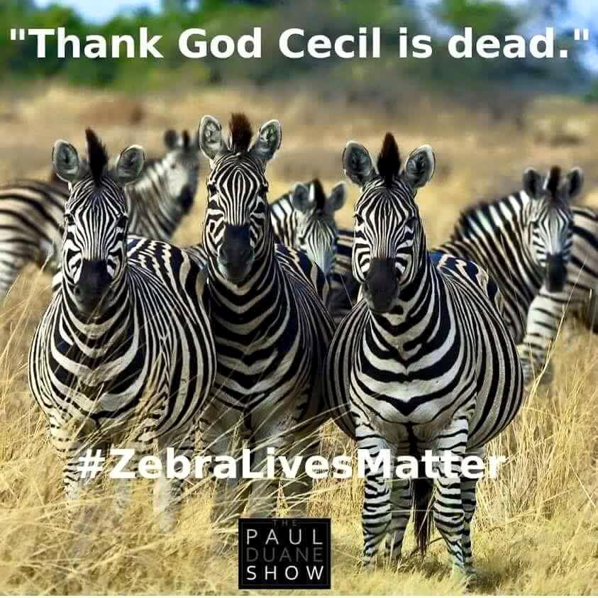 zebras.jpg