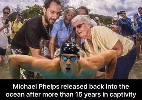 Phelps.jpg