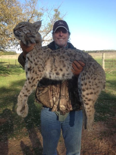 ted nugent bobcat.jpg